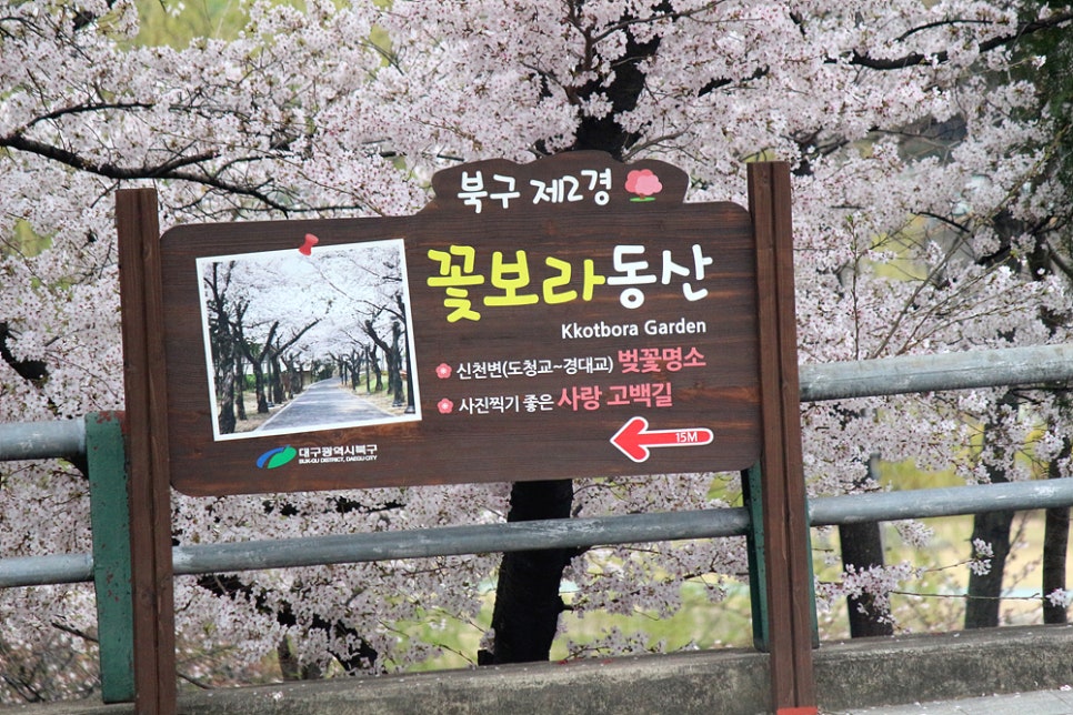 꽃보라화원 이미지