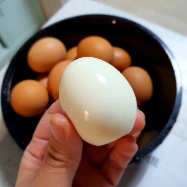 꼬꼬계란 이미지