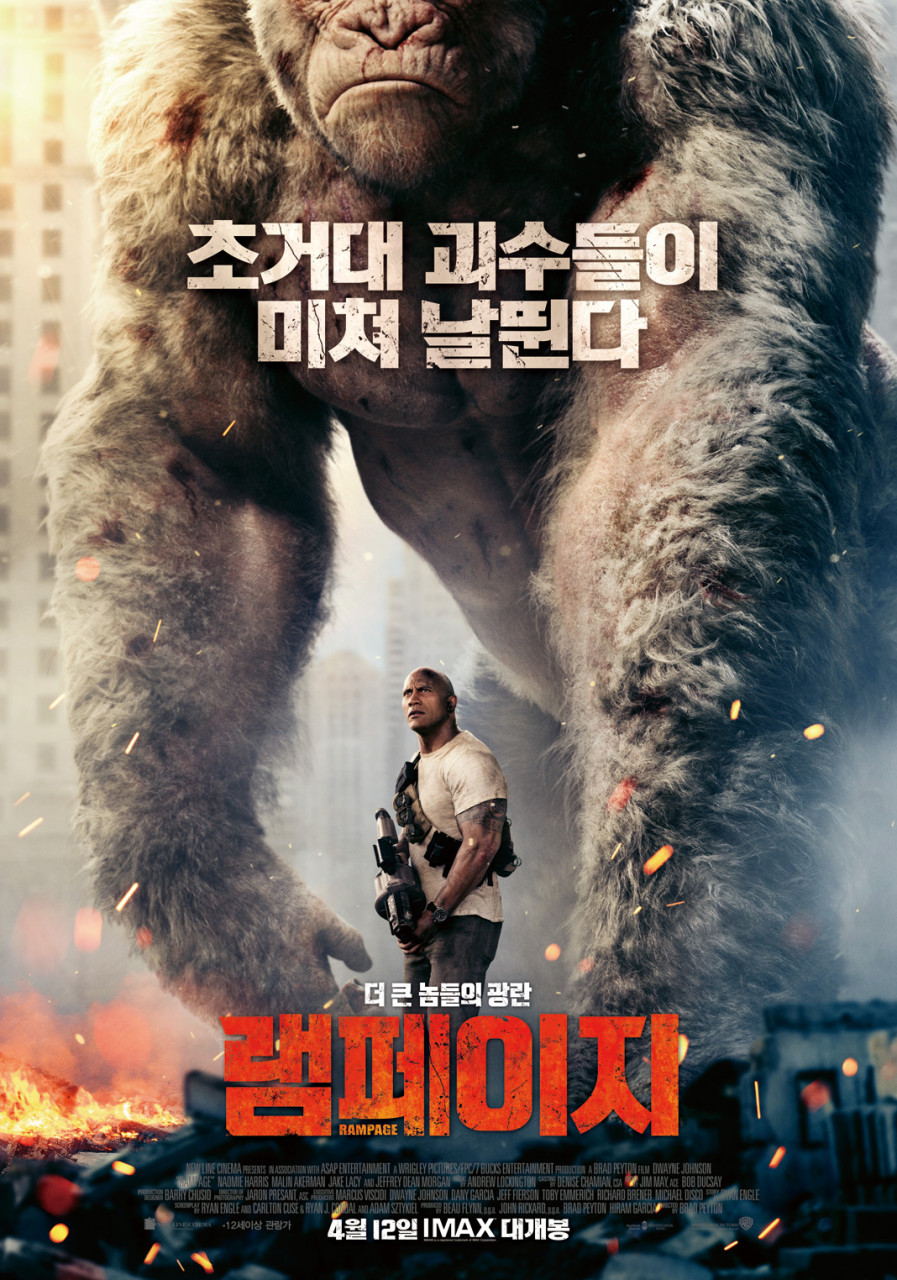 이티콩 이미지