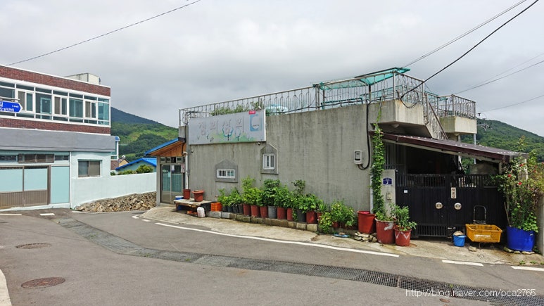 정화상회 이미지