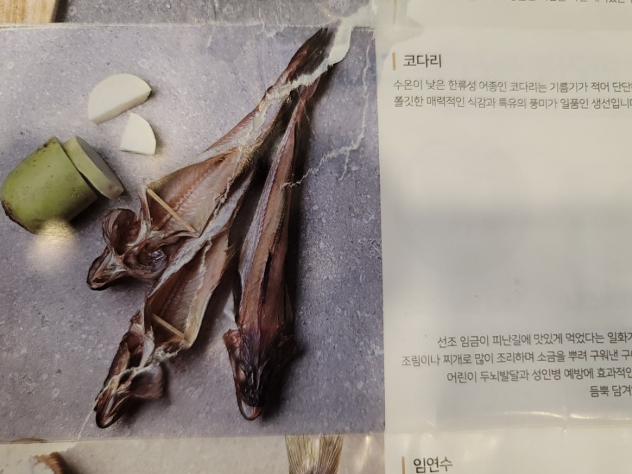 어가코다리 이미지