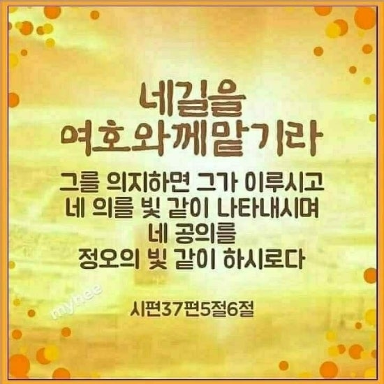 금채샵 이미지