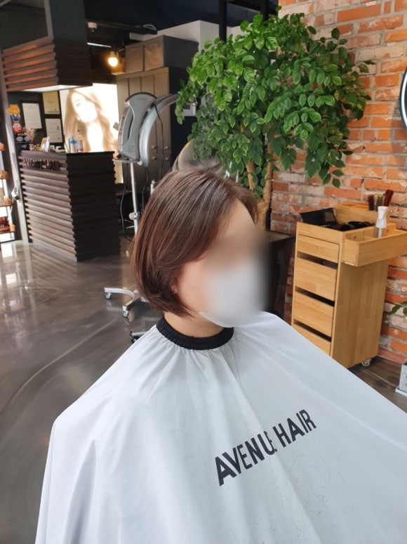 브라운디자인 이미지
