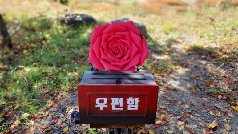 드롭플라워 이미지