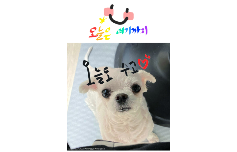 정남진전망대횟집 이미지