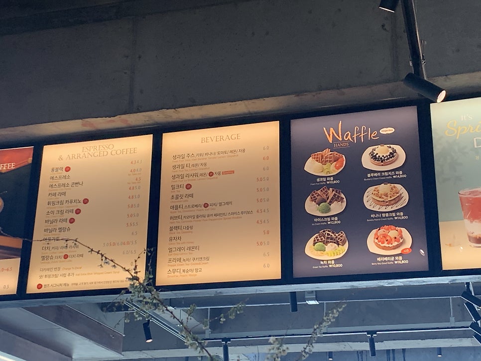 핸즈커피 이미지