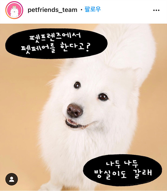 펫프렌즈 이미지