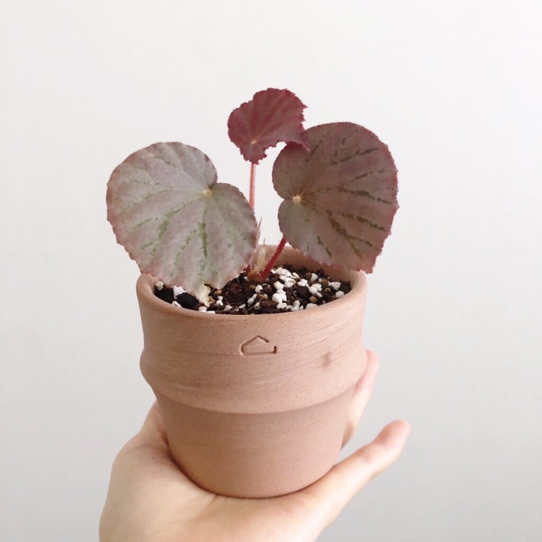 소온공방 이미지