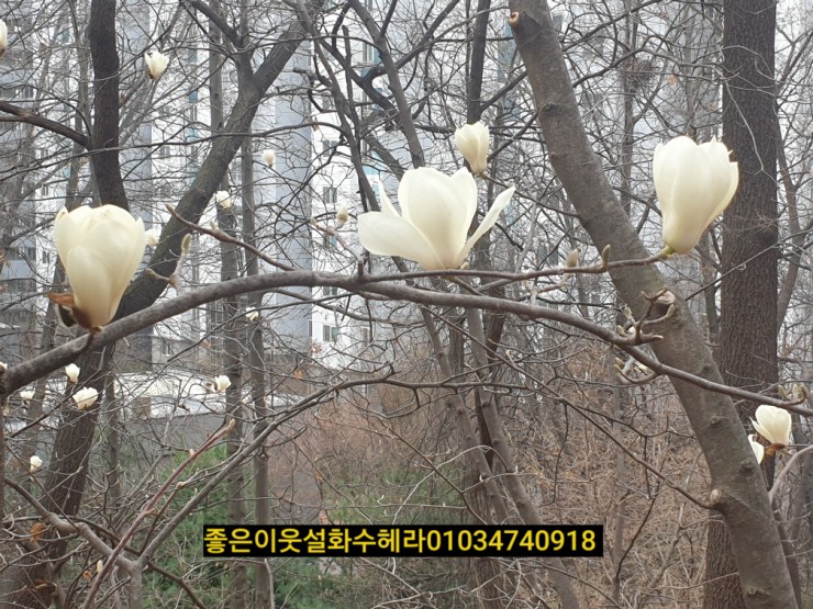 계남공원(신정산) 유아숲체험원 이미지