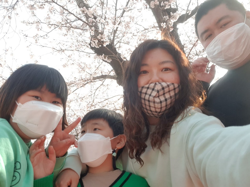 황금족발목포족발평화 이미지