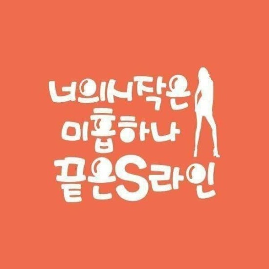 금채샵 이미지