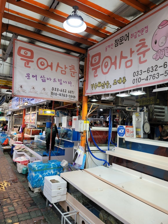 문어삼춘 이미지