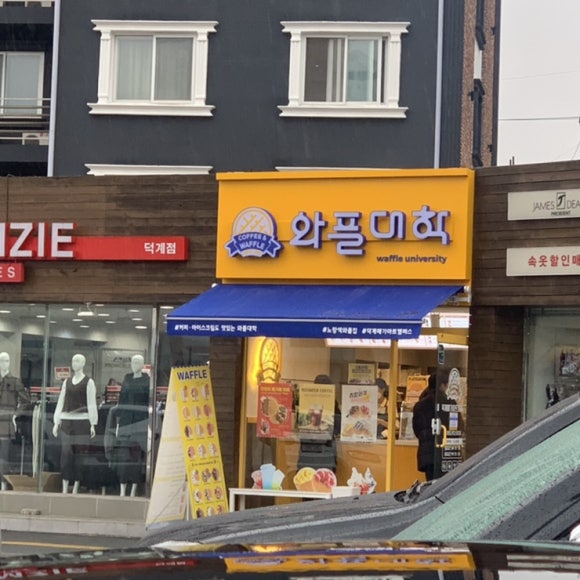 황금성반점 이미지