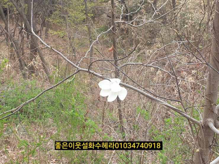 계남공원(신정산) 유아숲체험원 이미지