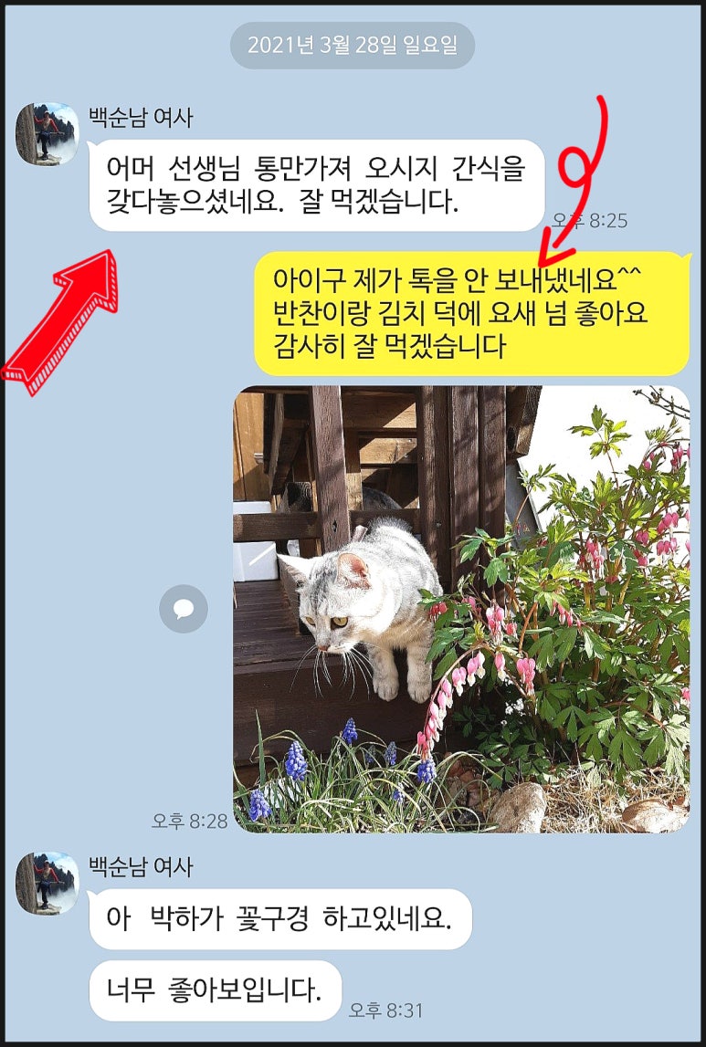 백여사반찬 이미지