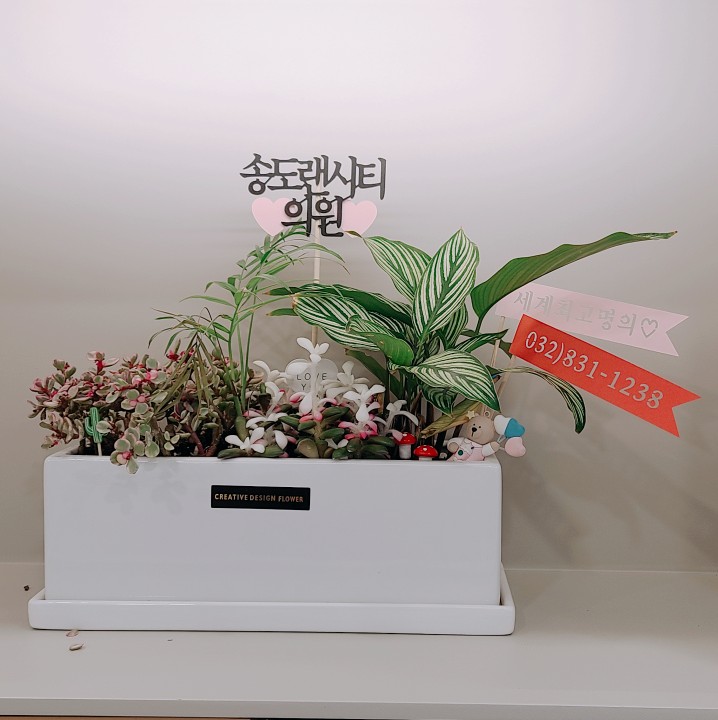 송도랜시티의원 이미지