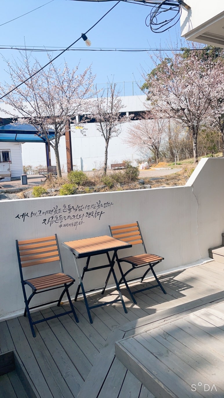 카페틔우다 이미지