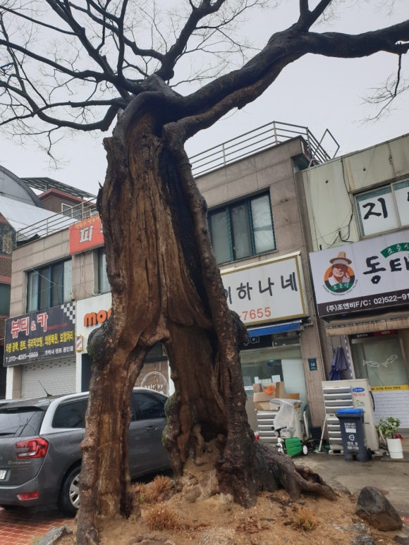 밥엔 청국장 이미지