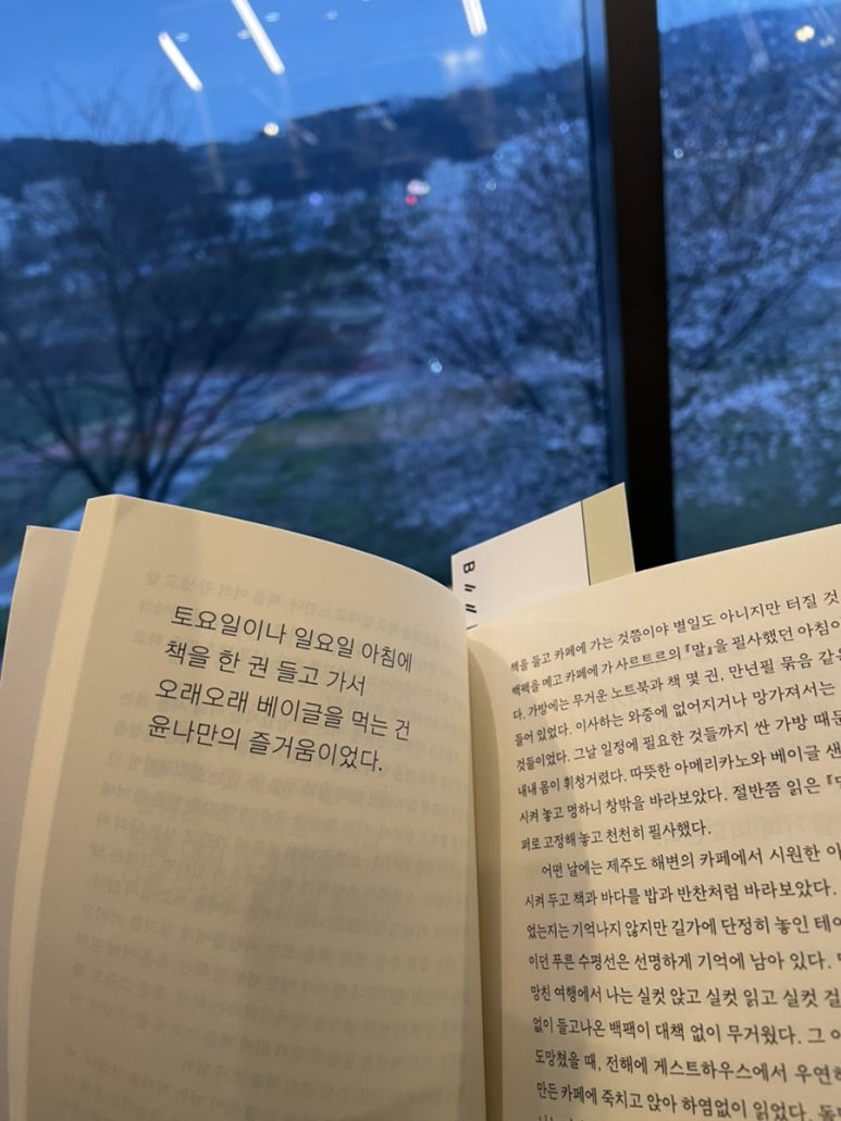 할리스도안 이미지