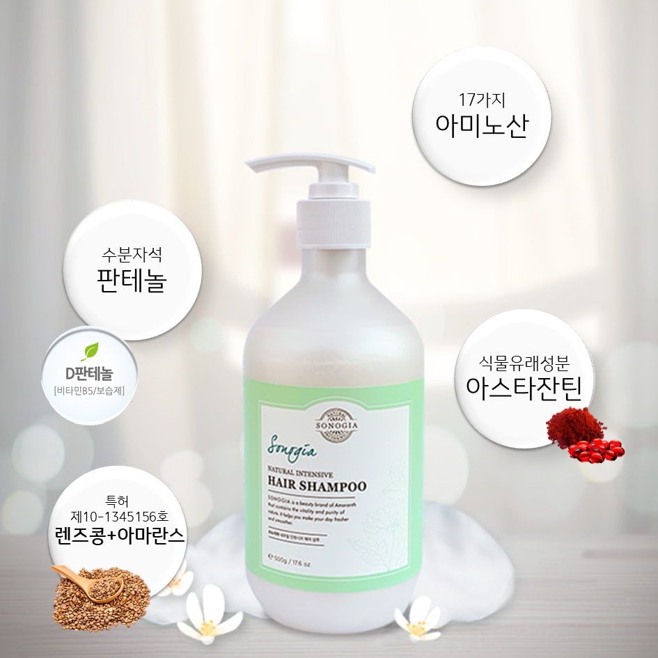 소노지아 이미지