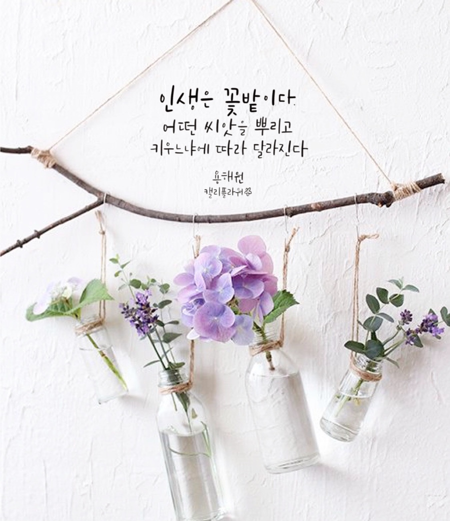 캘리스토리 이미지