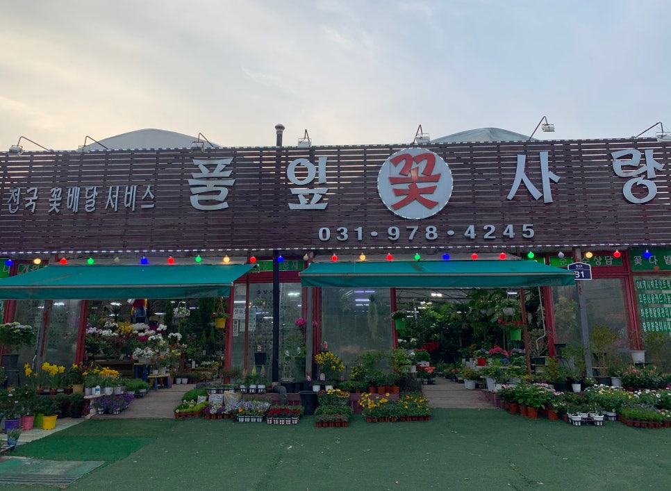풀잎사랑화원 이미지