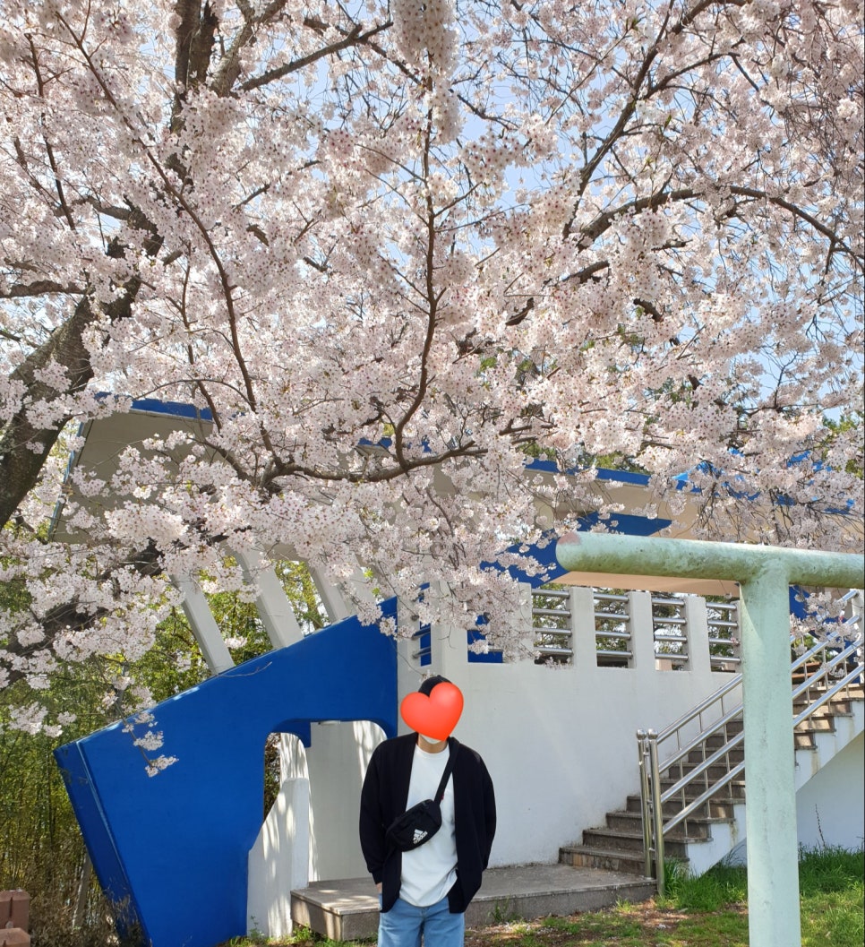 쌈지거제 이미지