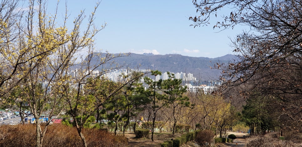구름산주유소 이미지