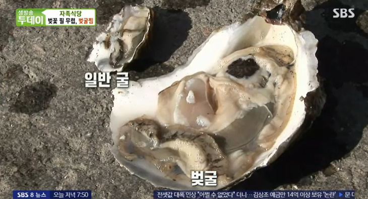 벚굴식당 이미지