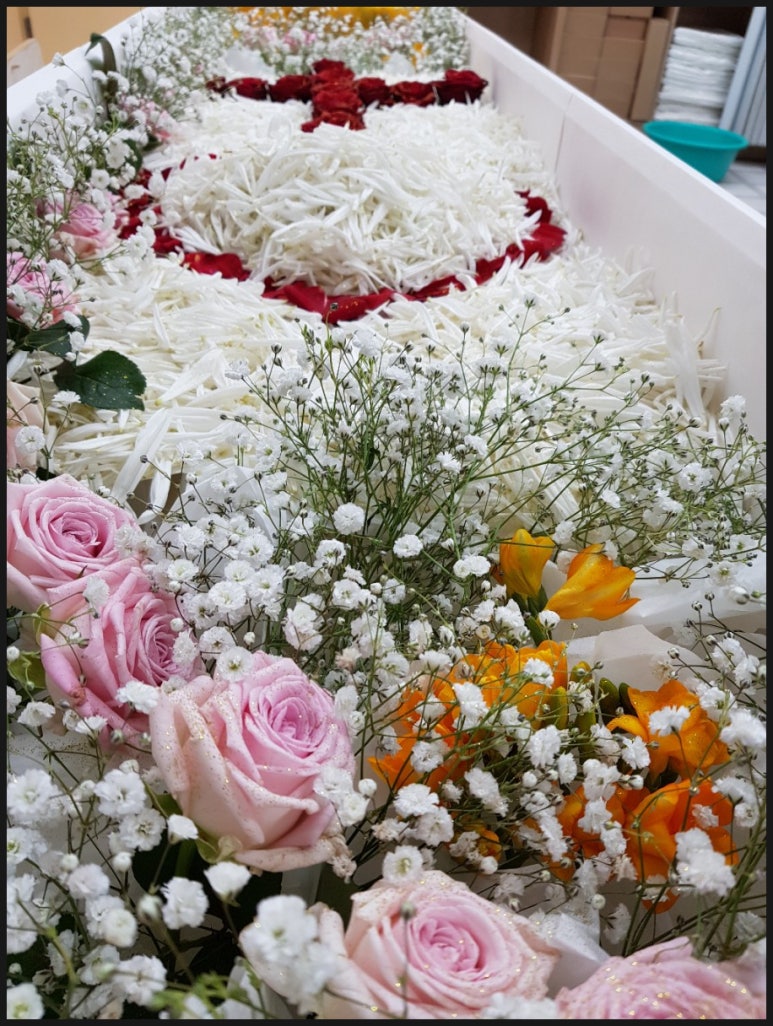 예산종합상조 이미지