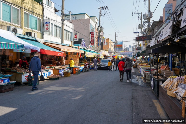 죽도상회수산물 이미지