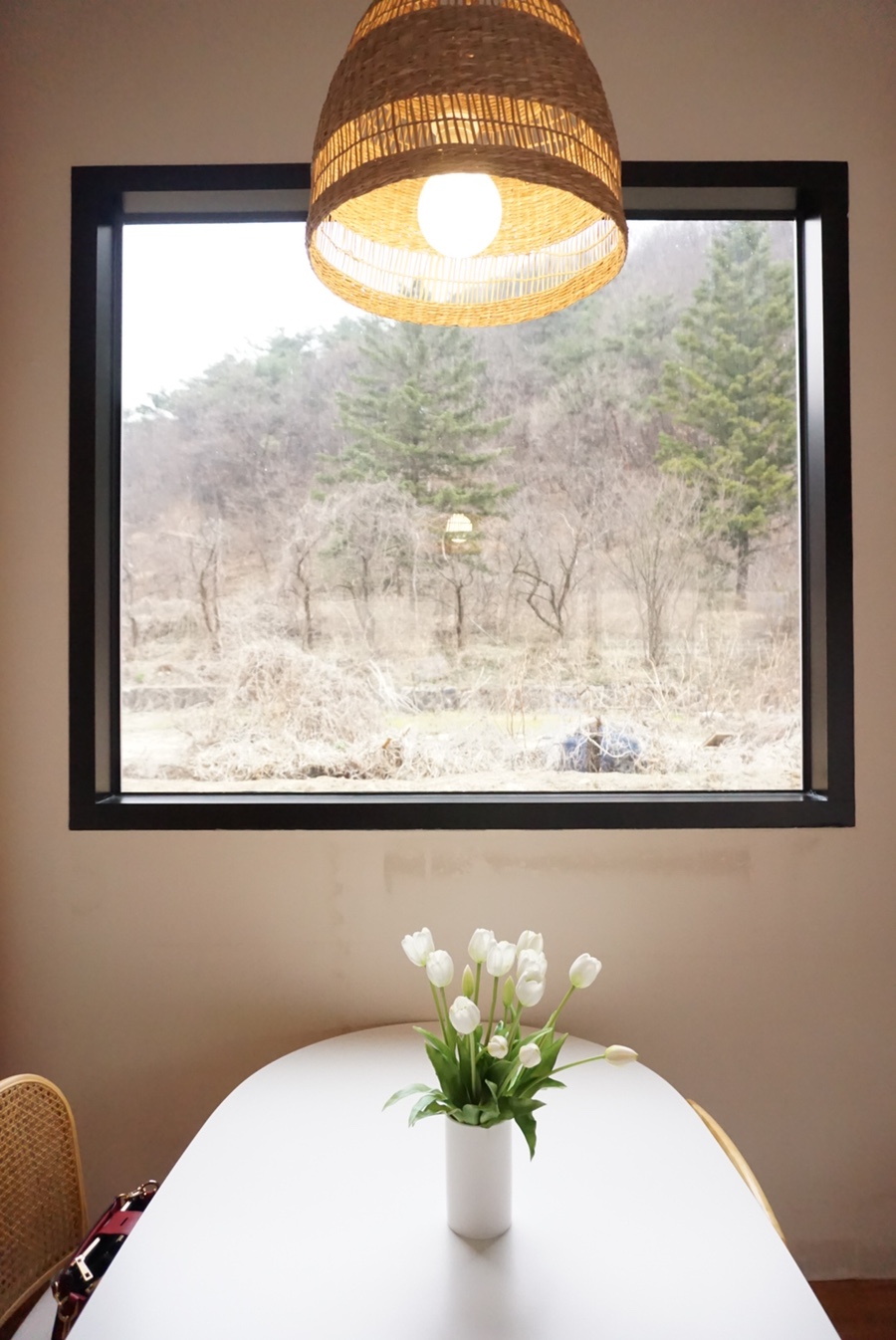 카페리리 이미지