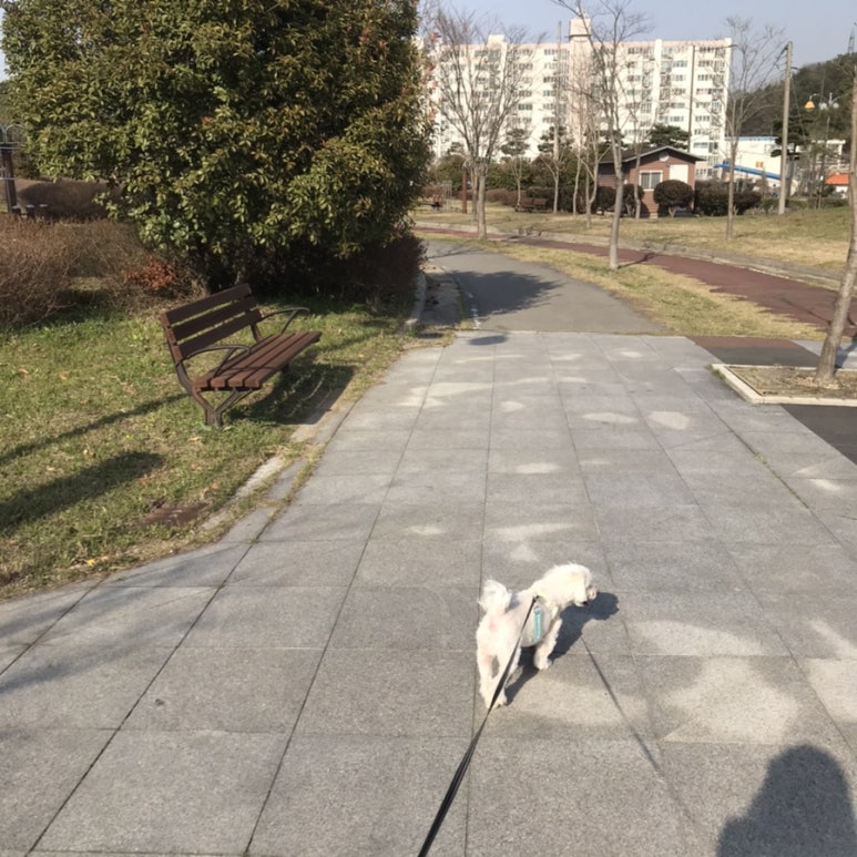 배떡나주 이미지