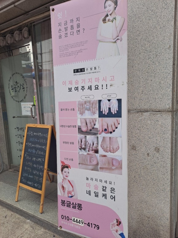 봉글살롱 이미지