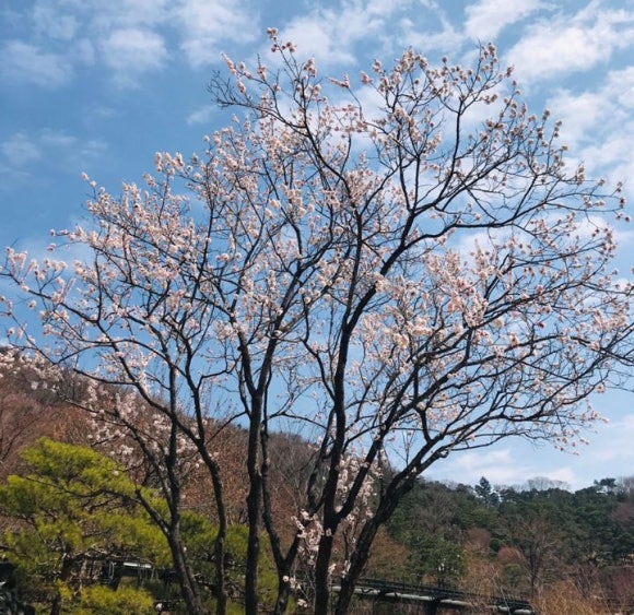 화담펜션 이미지