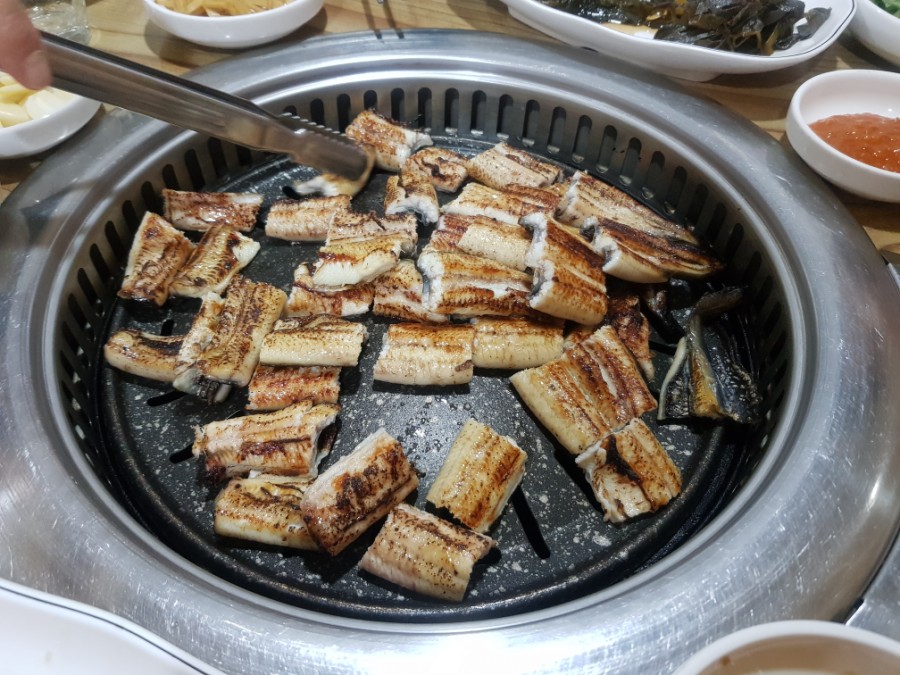 미락정장어 이미지