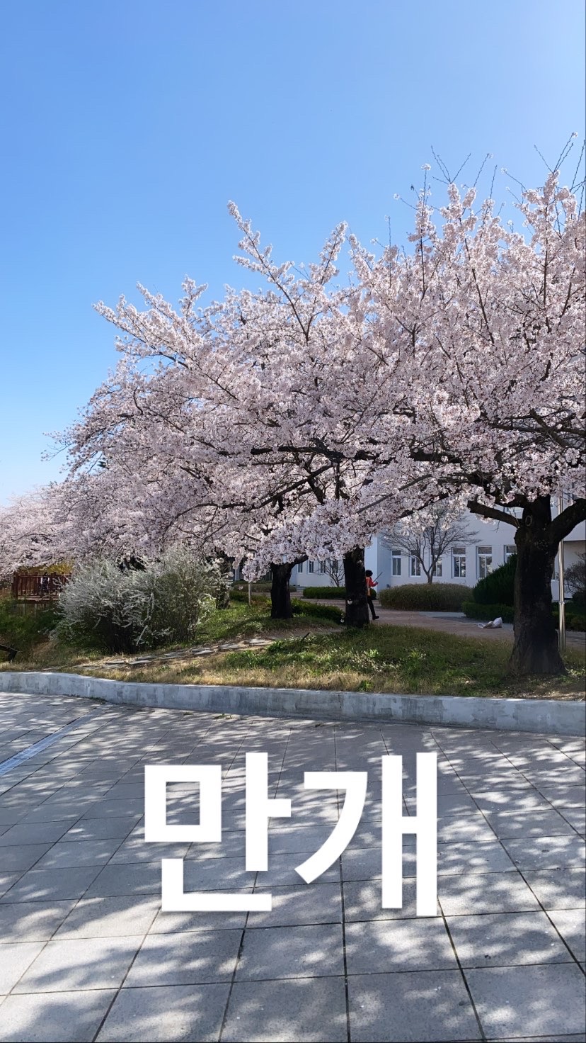 모이라짐 이미지