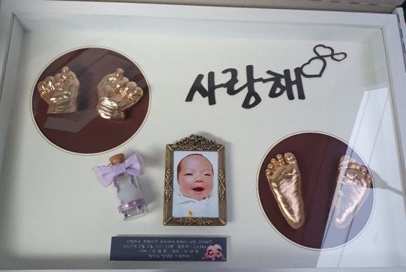 금줄베이비시터코리아 이미지