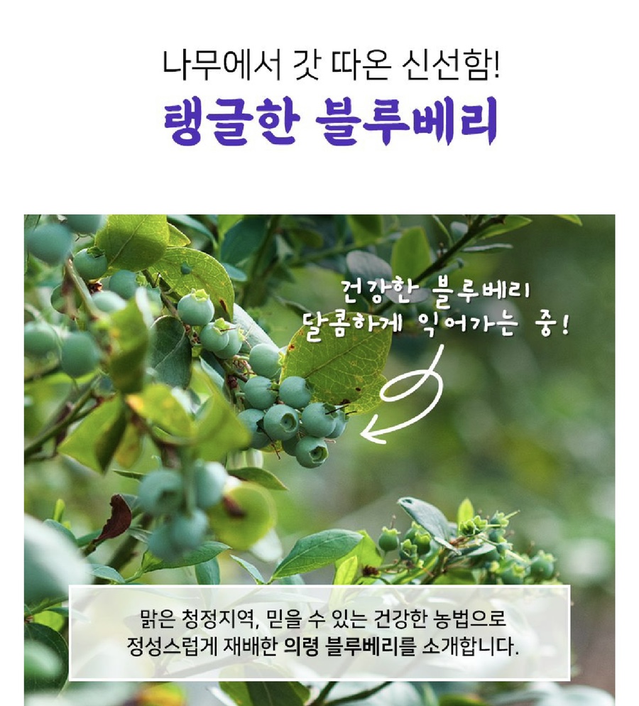 주식회사 비프로 이미지