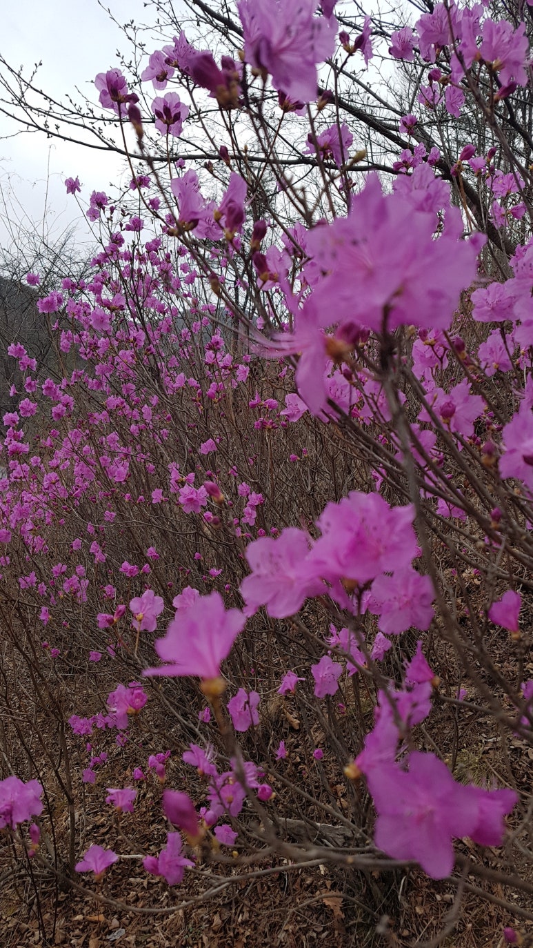 문경숲속정원 이미지