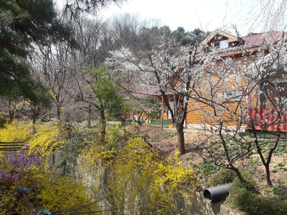 숲속펜션 이미지