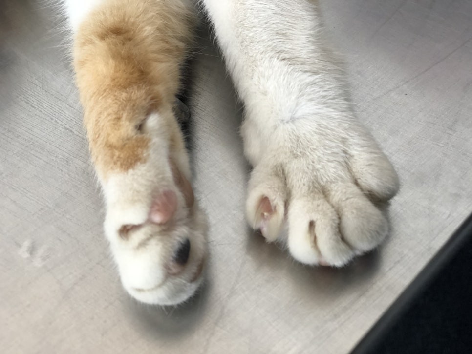 카페훤 이미지