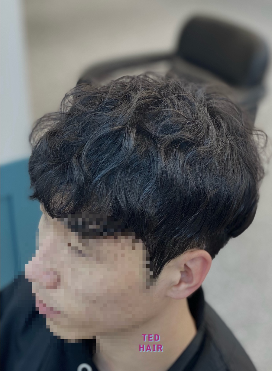 테드헤어 이미지