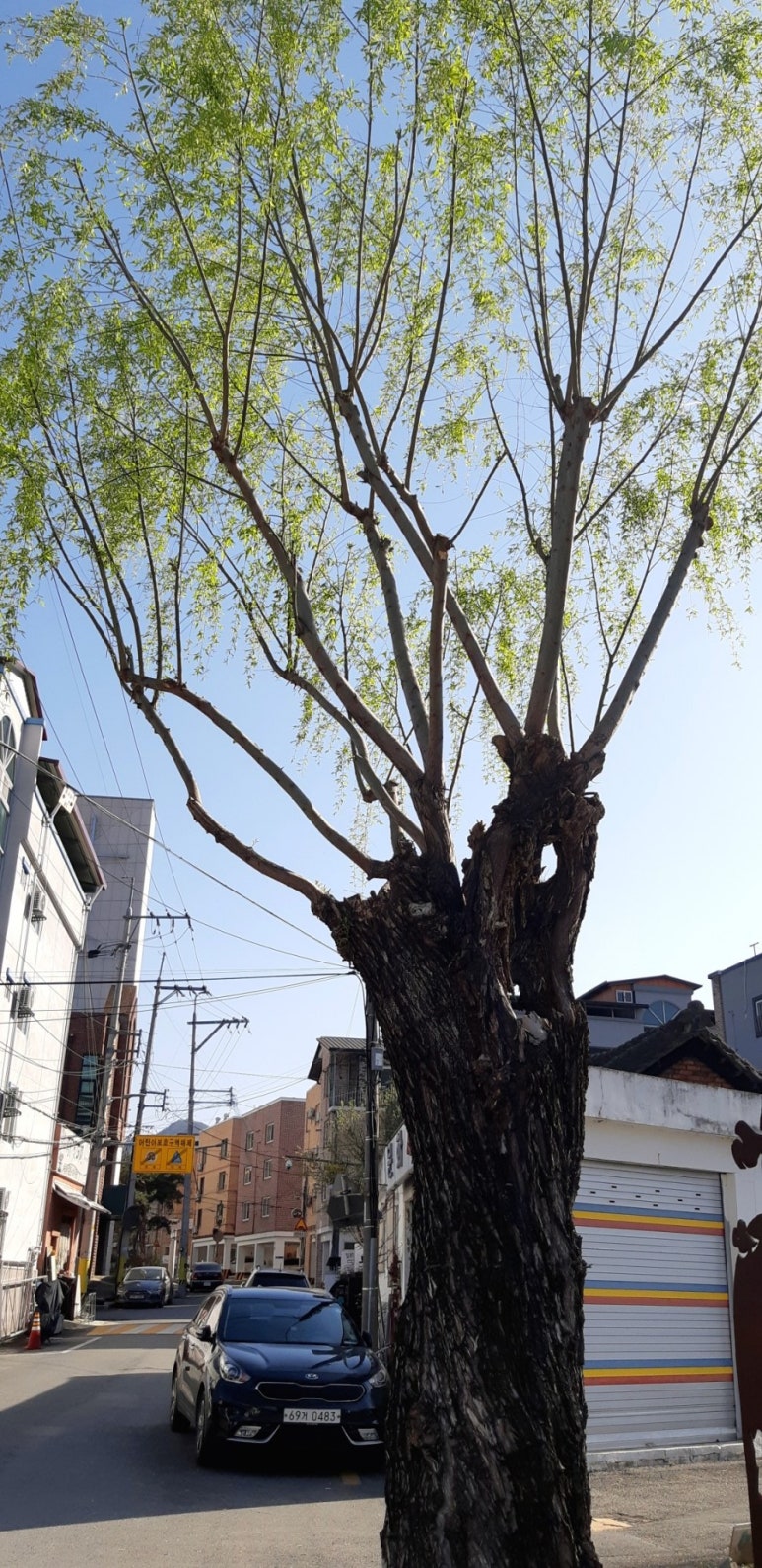 삼삼슈퍼 이미지
