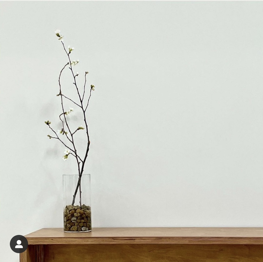 로즈스윗츠 이미지