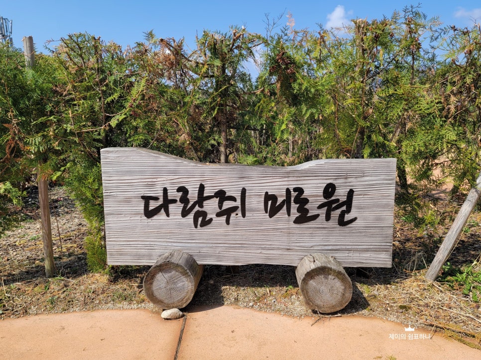 구례수목원 유아숲체험원 이미지