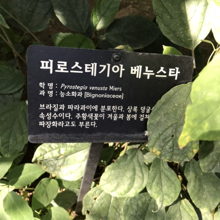 한밭어린왕자 이미지