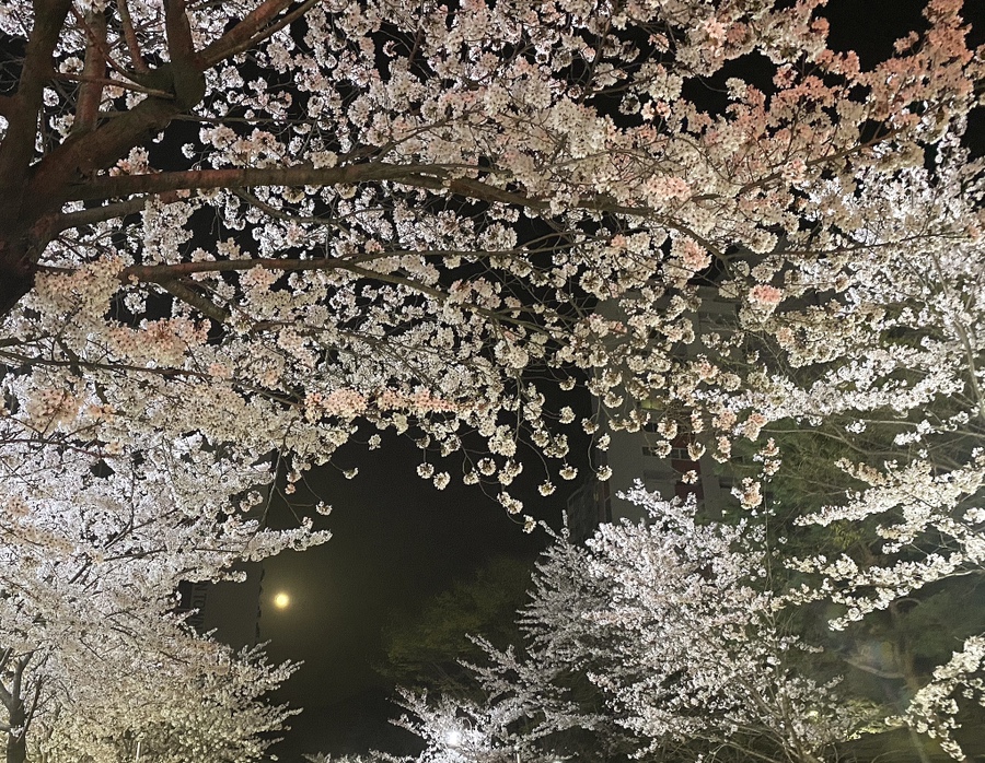큰복닭강정 이미지