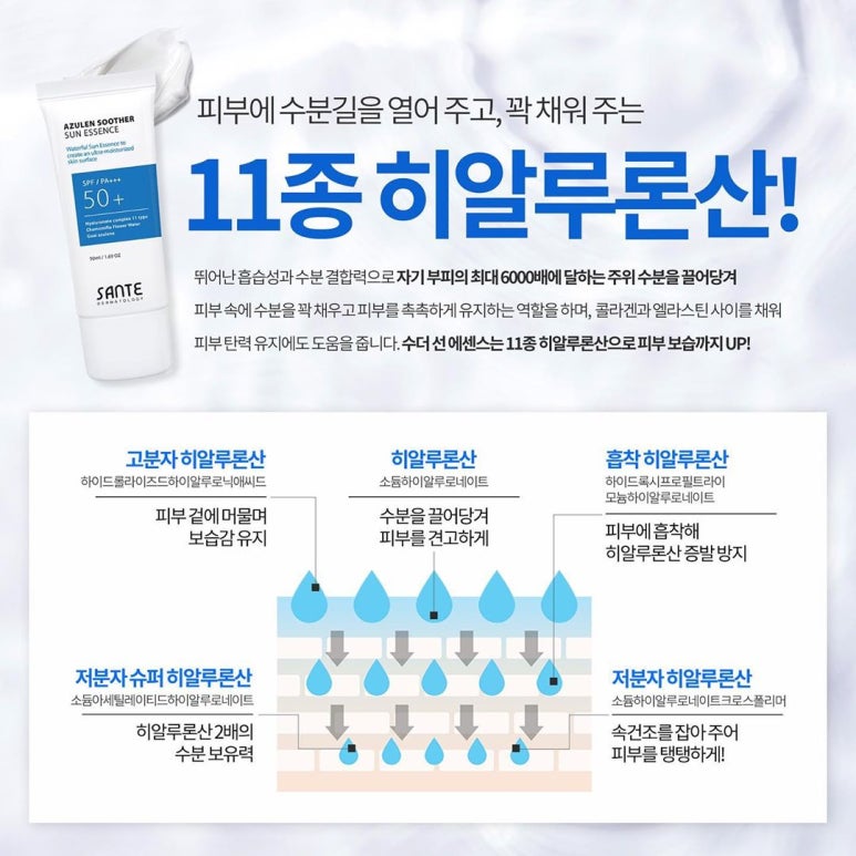 365에센스 이미지