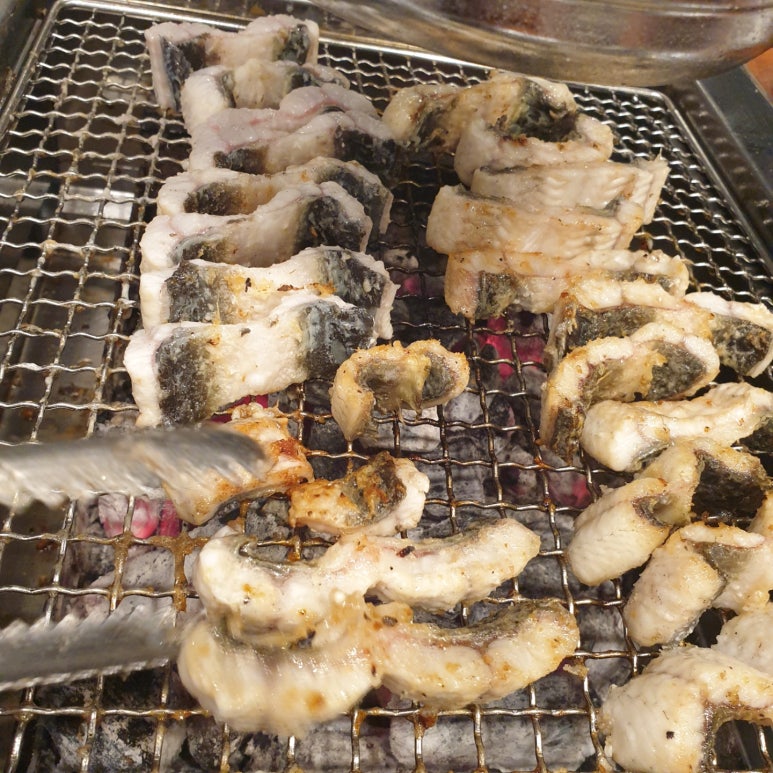 청년장어 이미지